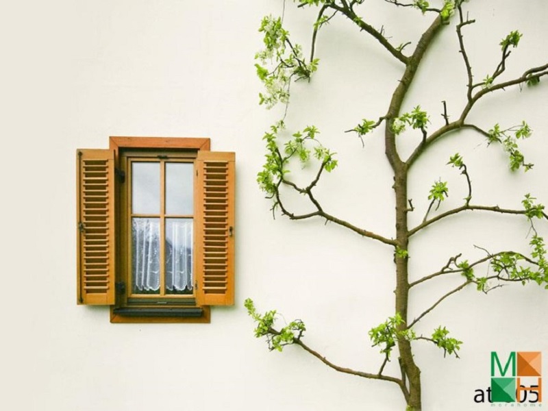 Chọn tranh dán tường quán cà phê phù hợp nhiều style thiết kế